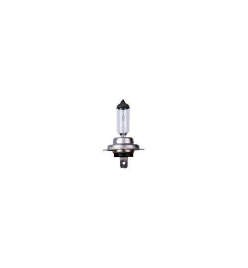 Bec halogen 12V - H7 - 55W - PX26d 1buc 4Cars - eChilipir